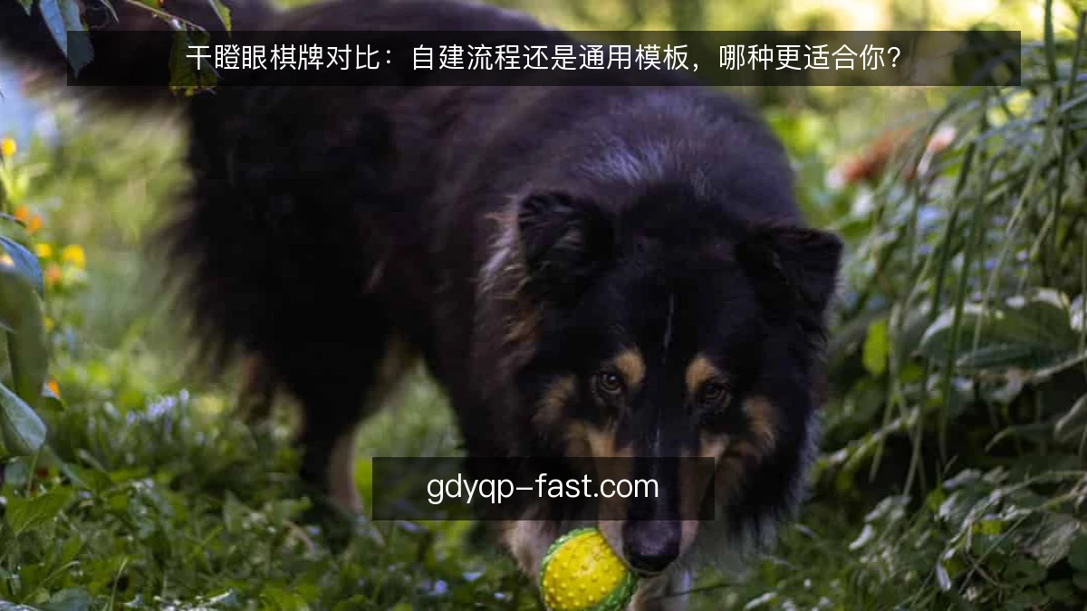 干瞪眼棋牌对比：自建流程还是通用模板，哪种更适合你？